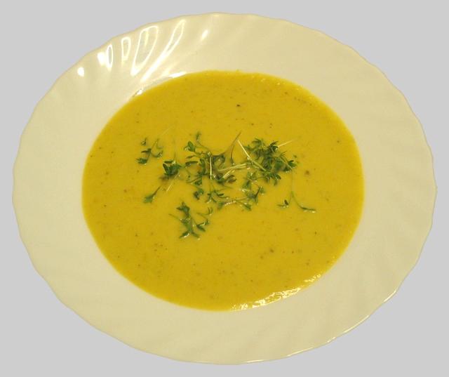 pumpkin puree soup - free image