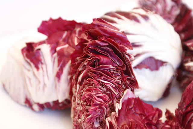 radicchio - free image