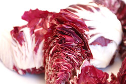 radicchio