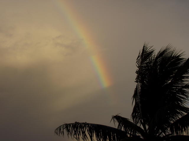 rainbow - free image