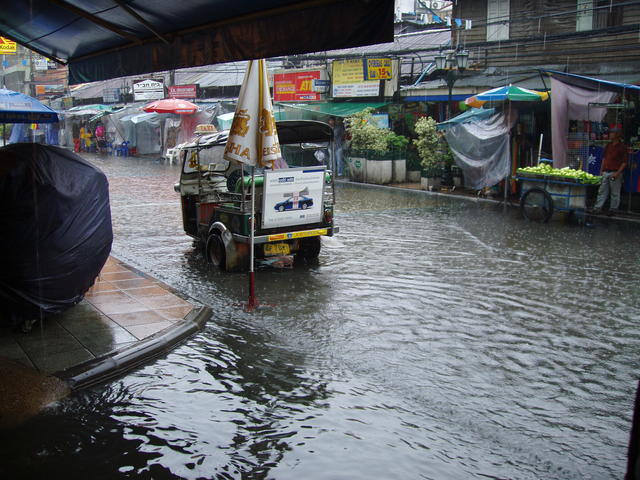 Rainy Season - free image