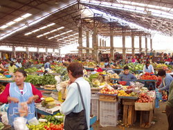 raw market