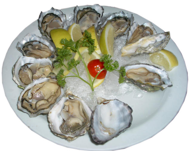 raw oysters - free image