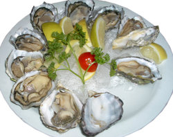 raw oysters