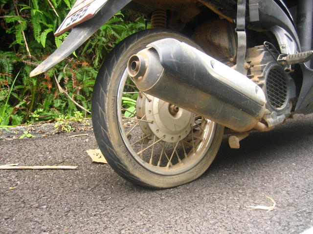 Rear wheel - free image