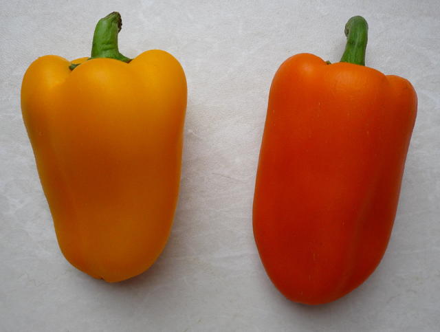 red and yellow sweet peppers - free image