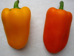 red and yellow sweet peppers