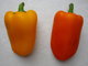 red and yellow sweet peppers