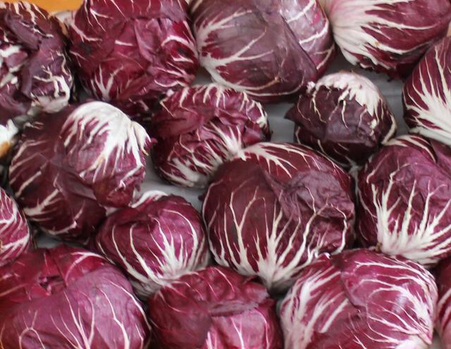 red chicory lettuce - free image