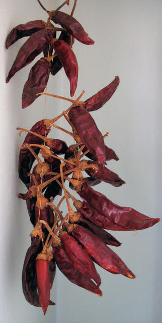 Red dried pepper - free image