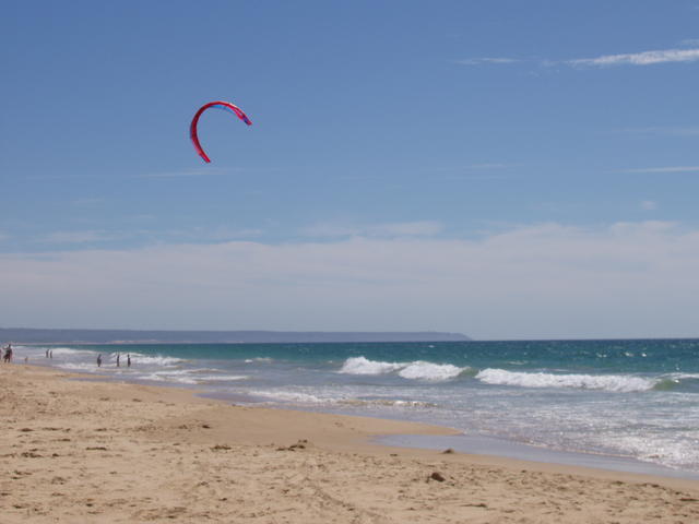 red kite - free image