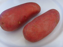 red potatoes