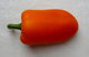 red sweet pepper