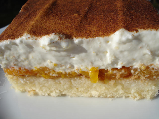 refreshing orange pastry - free image