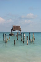 resting birds on sea shore