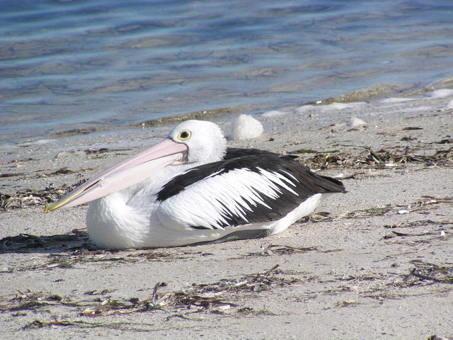 Resting crank - free image