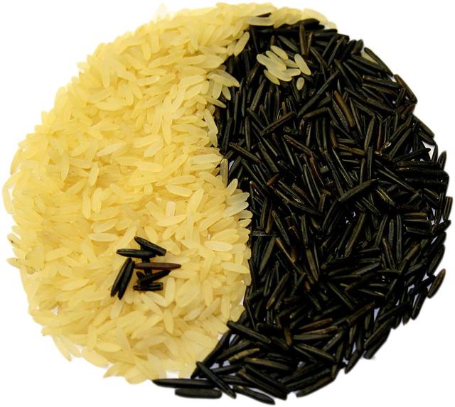 rice yin-yang - free image