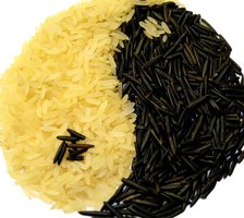 rice yin-yang
