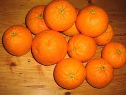 Ripe tangerines