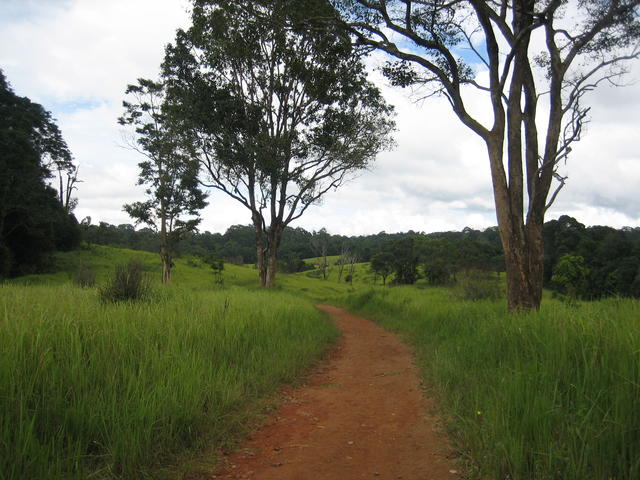 road in savanna - free image