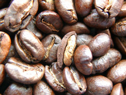 Roasted Coffe beans