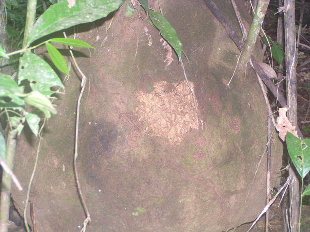 rock surface - free image