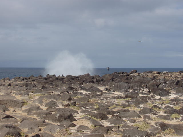 rocky seashore - free image