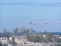 rocky seashore