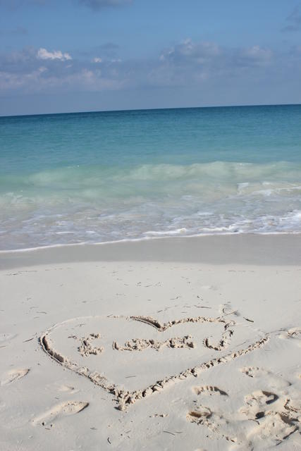 romance on the beach - free image