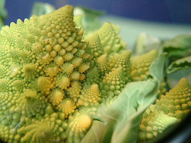 Romanesco broccoli - free image