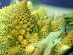 Romanesco broccoli