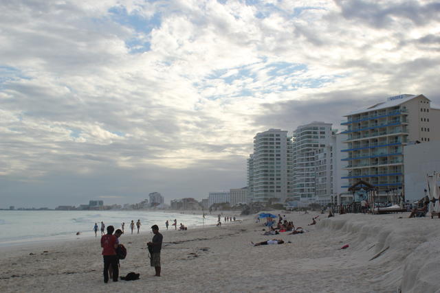 sandy sea beach - free image