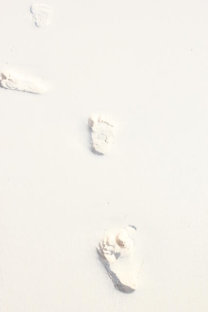 sandy trackway - free image