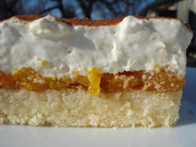 savoury orange cheese cake - free image