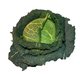 Savoy cabbage