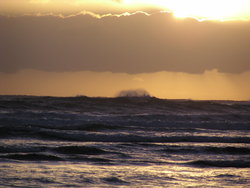 scenery of sea waves