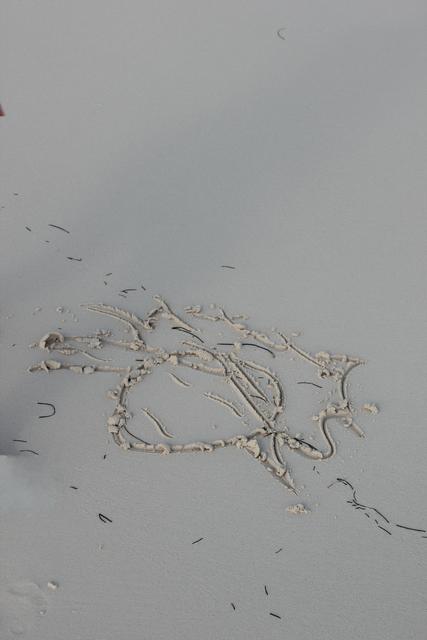 scribble on wet sand - free image