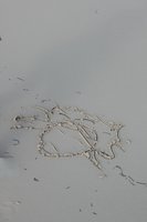 scribble on wet sand