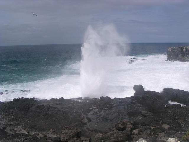 sea crashing on cliffs - free image