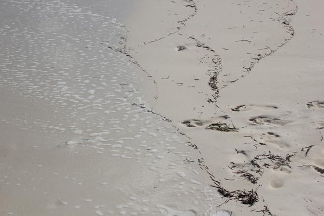 sea debris marks - free image