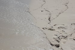 sea debris marks
