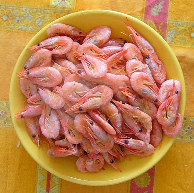 Sea shrimps - free image