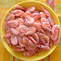 Sea shrimps