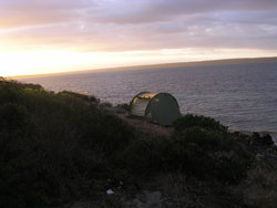 sea with plants and tent