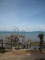 seashore with a bamboo structure