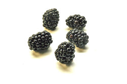 seedless blackberries.