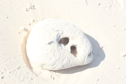 shadow of a stone on the beach