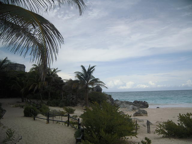 shadow of the Mayan ruins - free image