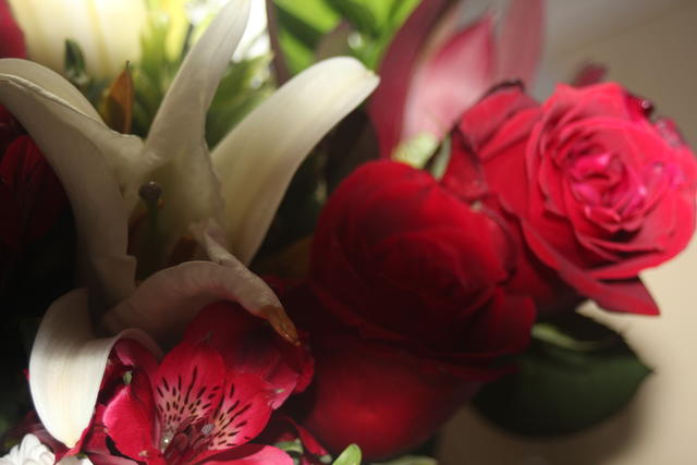 shadowed bouquet - free image