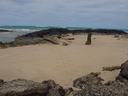 shore with iguana trails